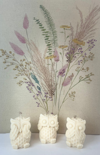 Owl Sculptural Candles