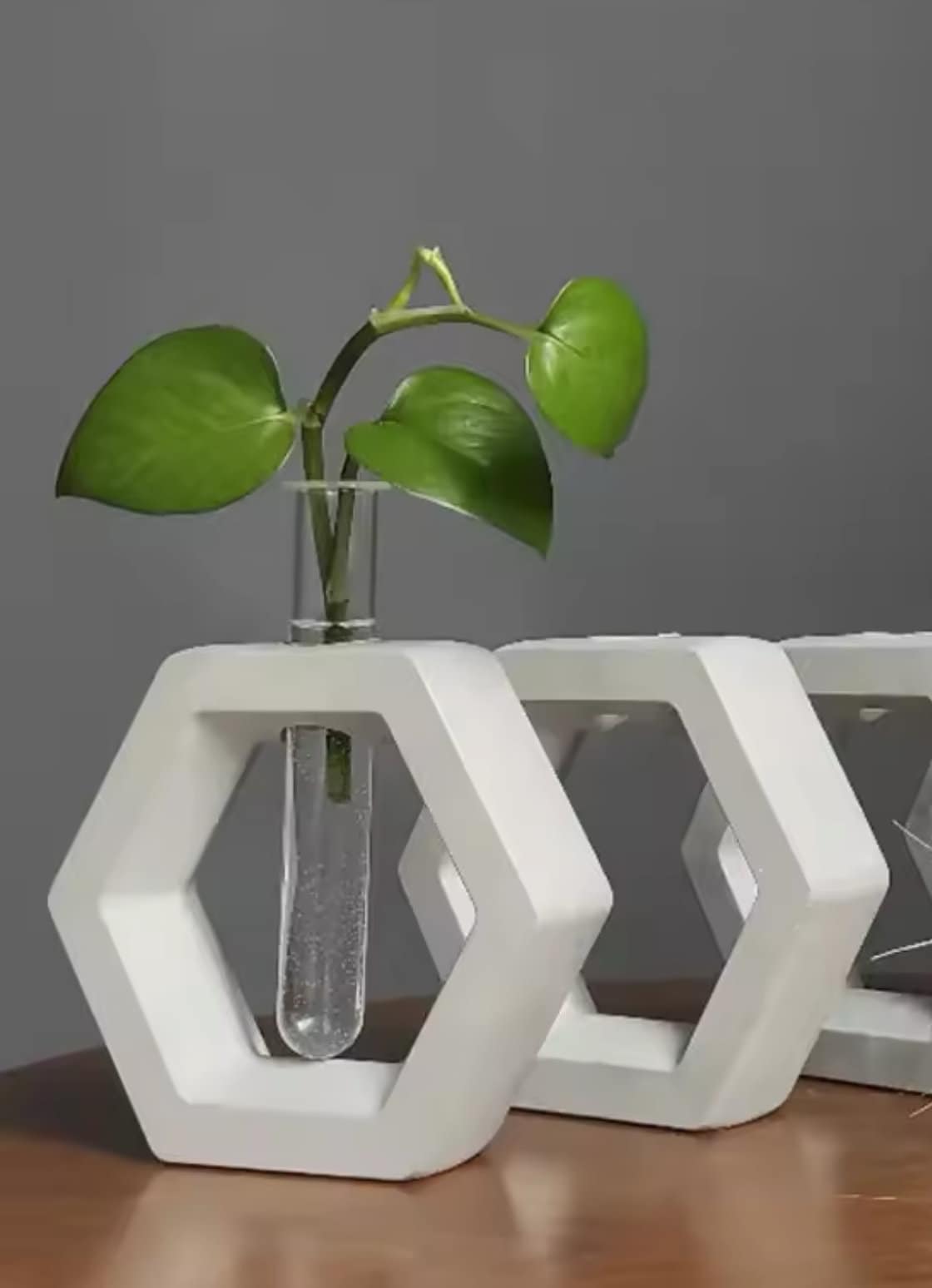 SCULPED Propagation Station - Jesmonite Cement Resin - Bud Vases - Home Decor