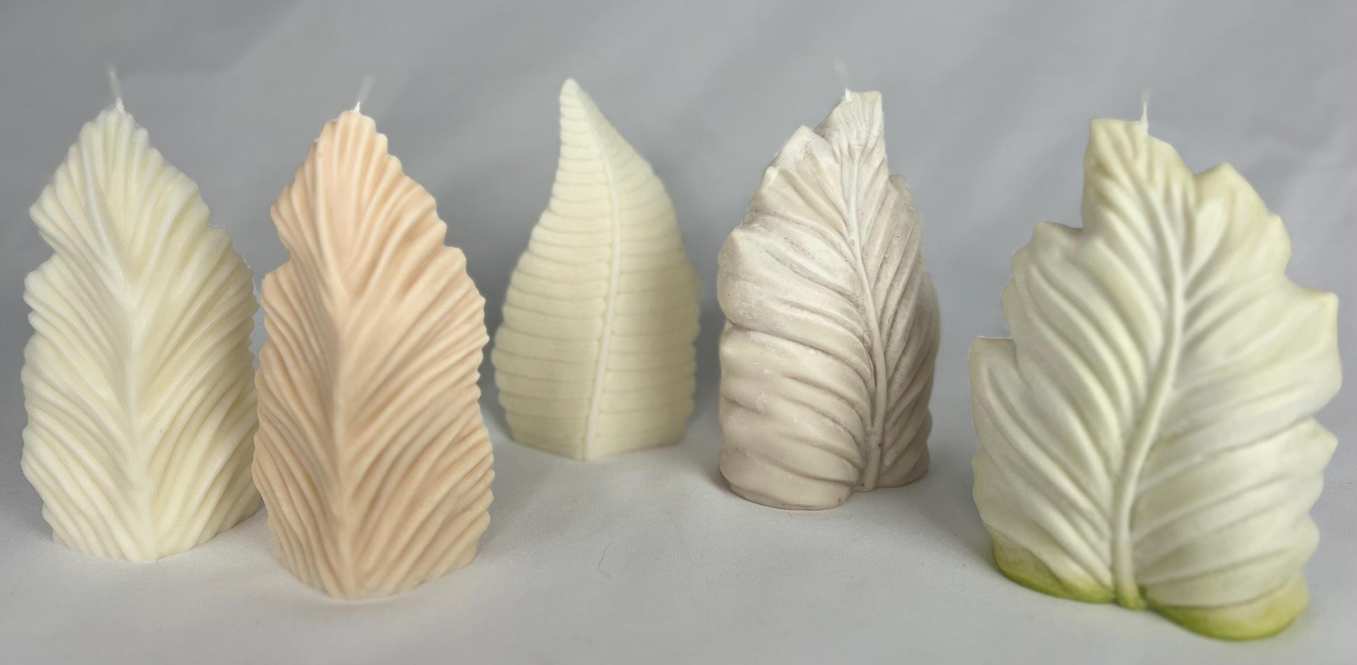 BoHo Vibes Shell Fern Leaf Feather Sculpture Candles