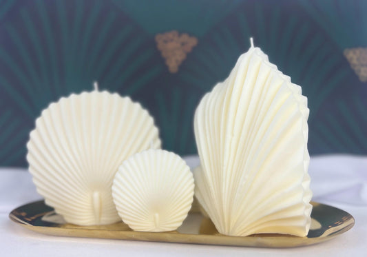 BoHo Vibes Shell Fern Leaf Feather Sculpture Candles