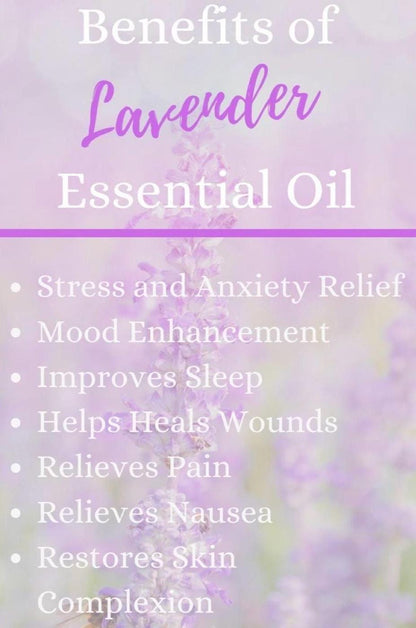 Essential Oil Vegan Lip Balm - Nourishing & Hydrating Lip Moisturizer