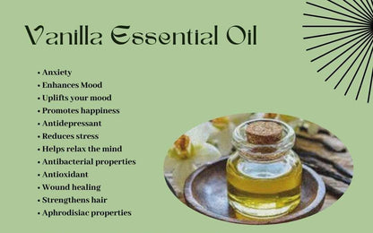 Essential Oil Vegan Lip Balm - Nourishing & Hydrating Lip Moisturizer