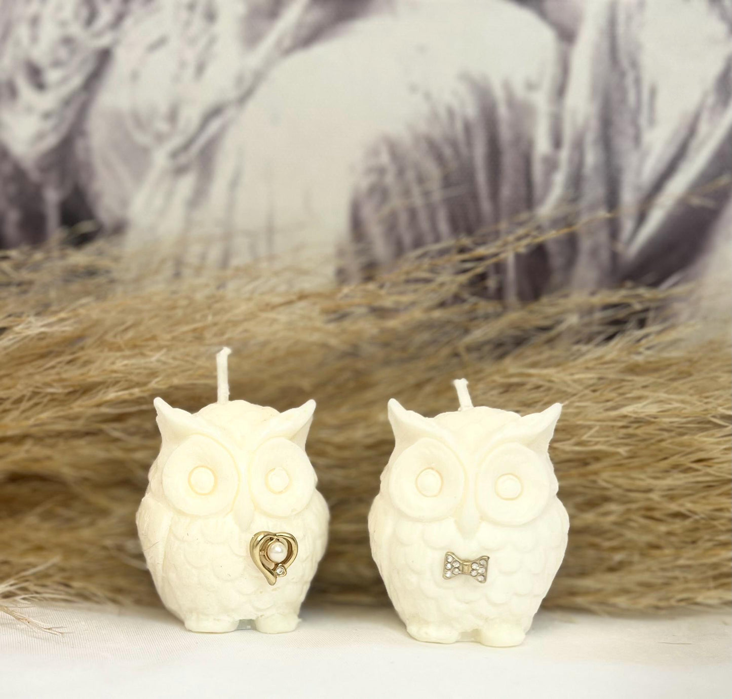 Fancy Mini Couple Owl Candles