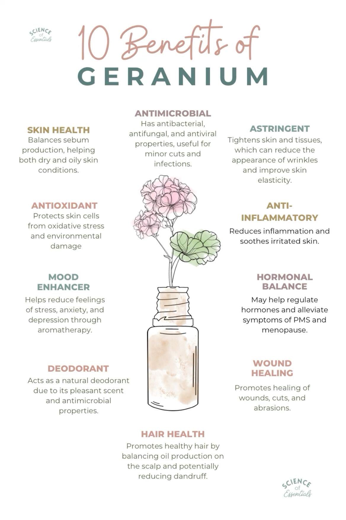 Essential Oil Vegan Lip Balm - Nourishing & Hydrating Lip Moisturizer