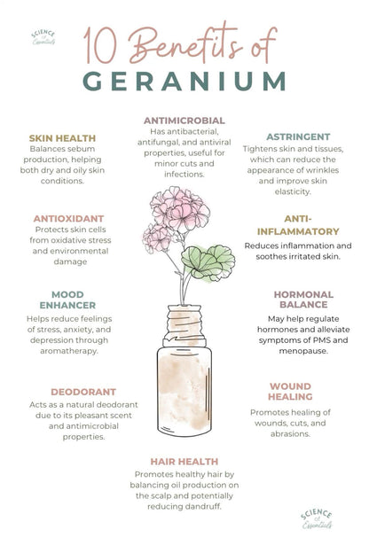 Essential Oil Vegan Lip Balm - Nourishing & Hydrating Lip Moisturizer