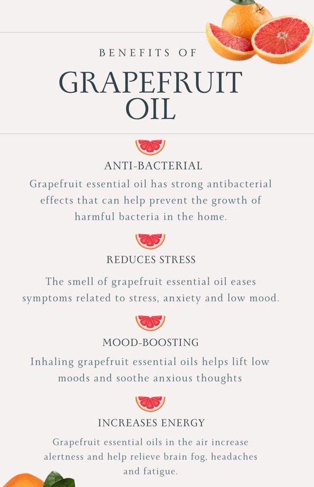 Essential Oil Vegan Lip Balm - Nourishing & Hydrating Lip Moisturizer